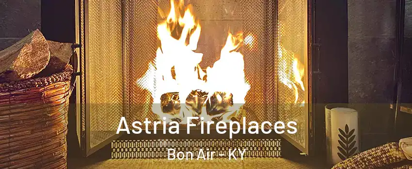 Astria Fireplaces Bon Air - KY