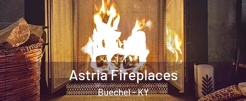 Astria Fireplaces Buechel - KY