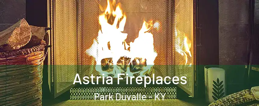 Astria Fireplaces Park Duvalle - KY