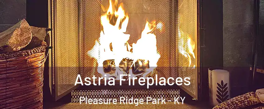 Astria Fireplaces Pleasure Ridge Park - KY