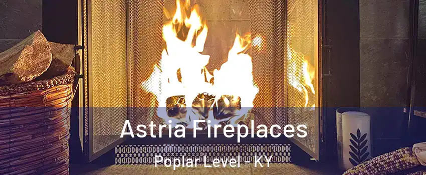 Astria Fireplaces Poplar Level - KY