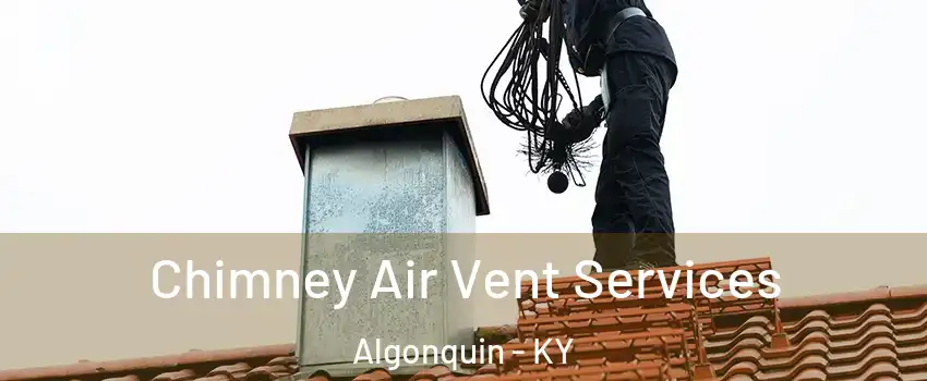 Chimney Air Vent Services Algonquin - KY