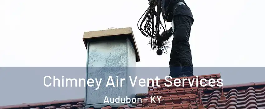 Chimney Air Vent Services Audubon - KY