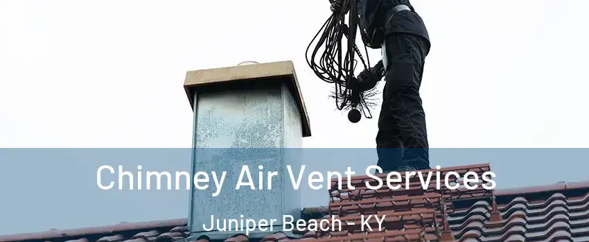 Chimney Air Vent Services Juniper Beach - KY