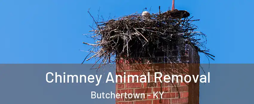 Chimney Animal Removal Butchertown - KY