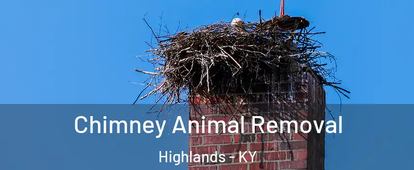 Chimney Animal Removal Highlands - KY