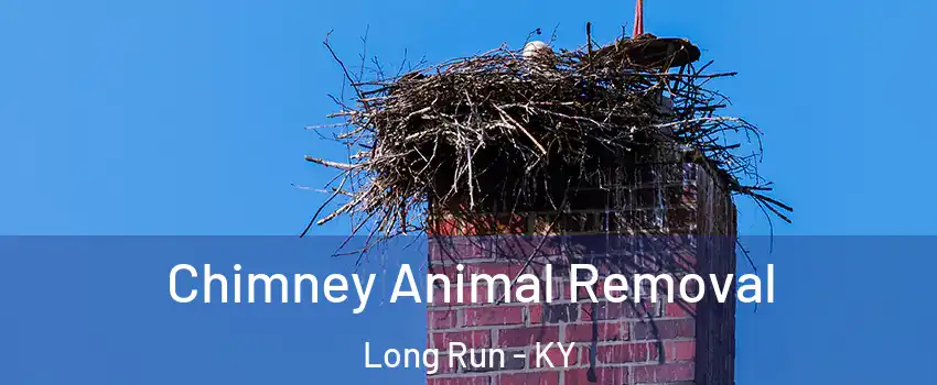 Chimney Animal Removal Long Run - KY