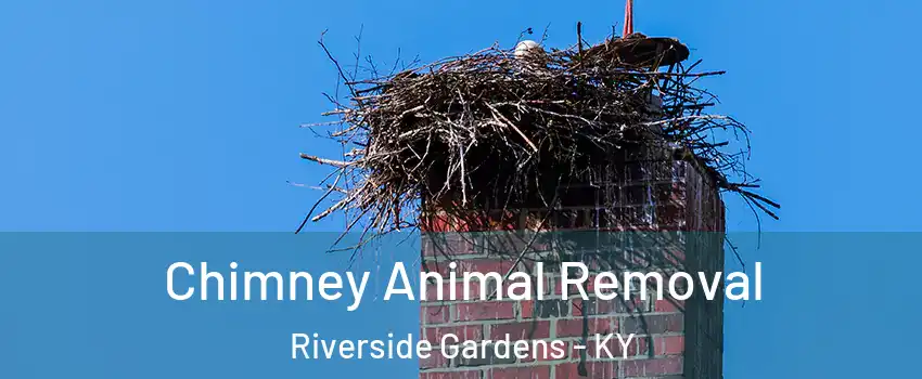 Chimney Animal Removal Riverside Gardens - KY