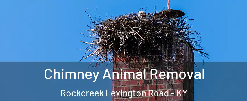 Chimney Animal Removal Rockcreek Lexington Road - KY