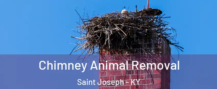 Chimney Animal Removal Saint Joseph - KY