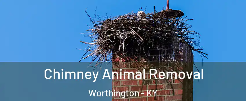 Chimney Animal Removal Worthington - KY