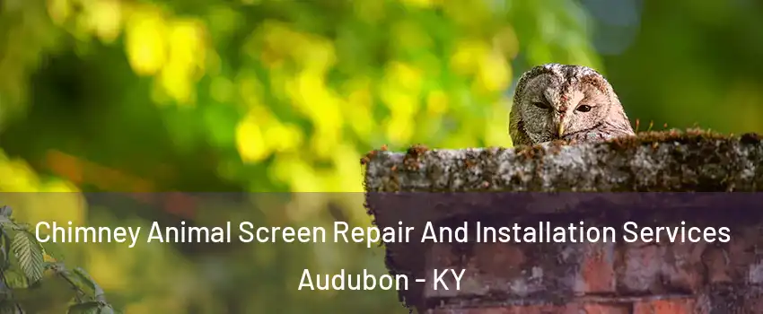 Chimney Animal Screen Repair And Installation Services Audubon - KY