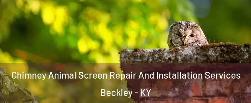 Chimney Animal Screen Repair And Installation Services Beckley - KY