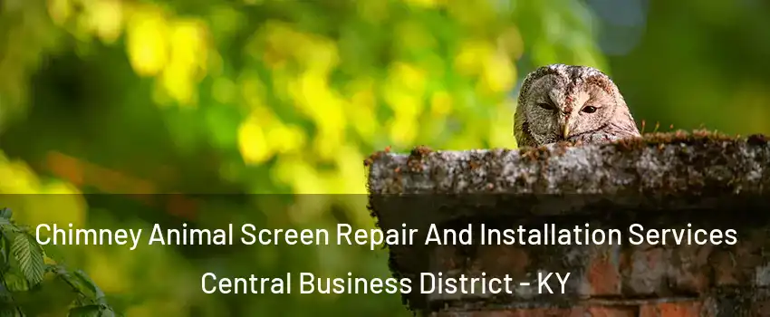 Chimney Animal Screen Repair And Installation Services Central Business District - KY