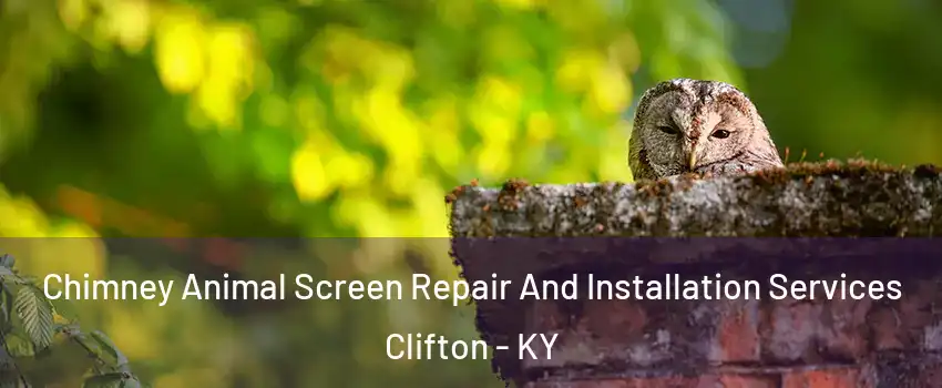 Chimney Animal Screen Repair And Installation Services Clifton - KY