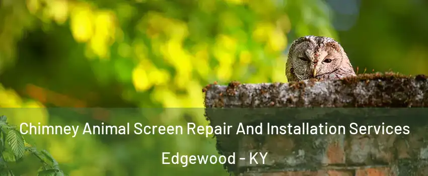 Chimney Animal Screen Repair And Installation Services Edgewood - KY