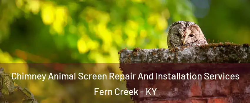 Chimney Animal Screen Repair And Installation Services Fern Creek - KY