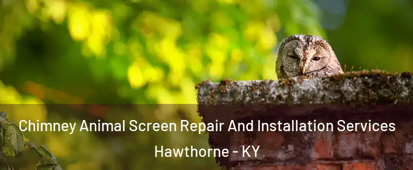 Chimney Animal Screen Repair And Installation Services Hawthorne - KY