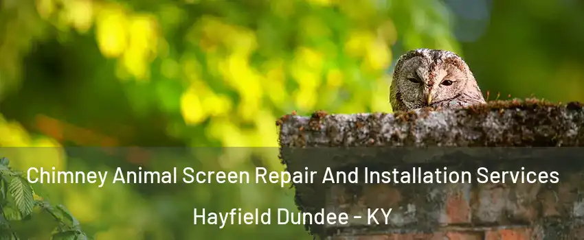 Chimney Animal Screen Repair And Installation Services Hayfield Dundee - KY