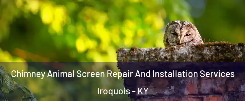 Chimney Animal Screen Repair And Installation Services Iroquois - KY