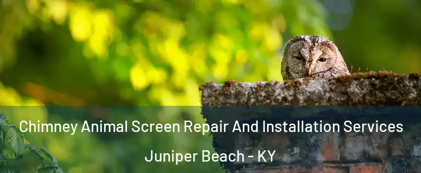 Chimney Animal Screen Repair And Installation Services Juniper Beach - KY