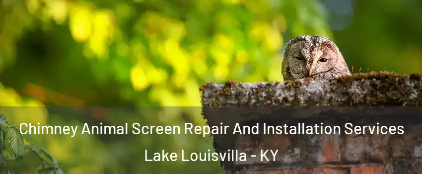 Chimney Animal Screen Repair And Installation Services Lake Louisvilla - KY