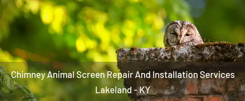 Chimney Animal Screen Repair And Installation Services Lakeland - KY