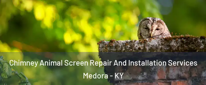 Chimney Animal Screen Repair And Installation Services Medora - KY