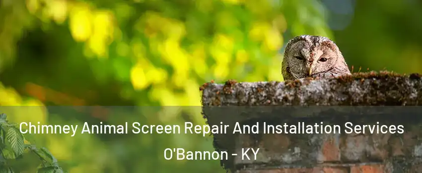 Chimney Animal Screen Repair And Installation Services O'Bannon - KY