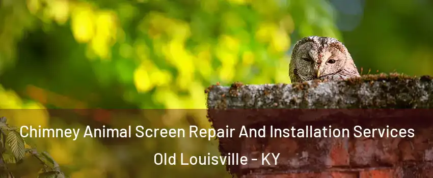 Chimney Animal Screen Repair And Installation Services Old Louisville - KY