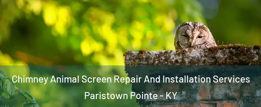 Chimney Animal Screen Repair And Installation Services Paristown Pointe - KY