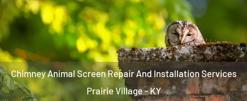 Chimney Animal Screen Repair And Installation Services Prairie Village - KY