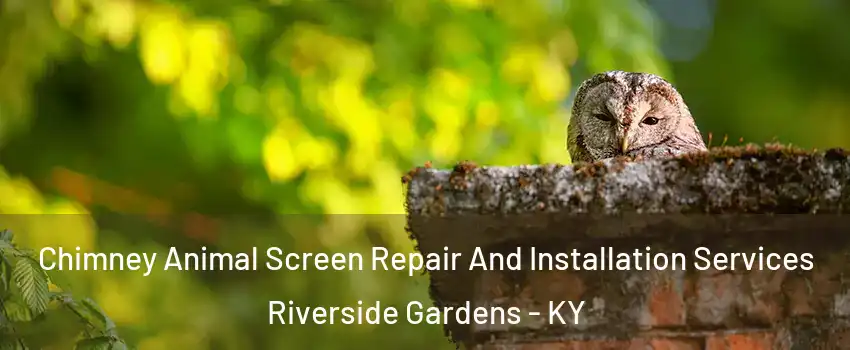 Chimney Animal Screen Repair And Installation Services Riverside Gardens - KY