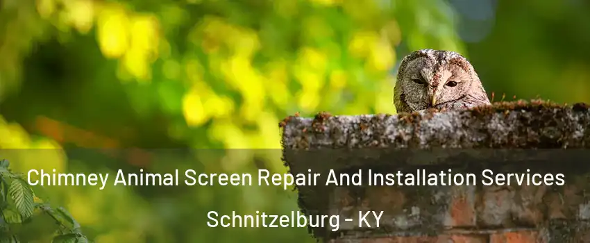 Chimney Animal Screen Repair And Installation Services Schnitzelburg - KY