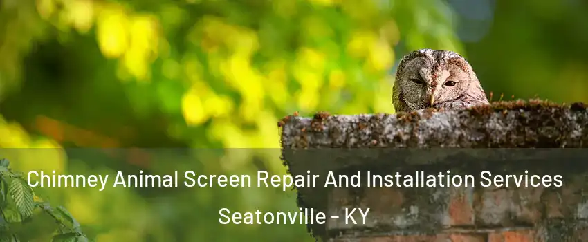 Chimney Animal Screen Repair And Installation Services Seatonville - KY