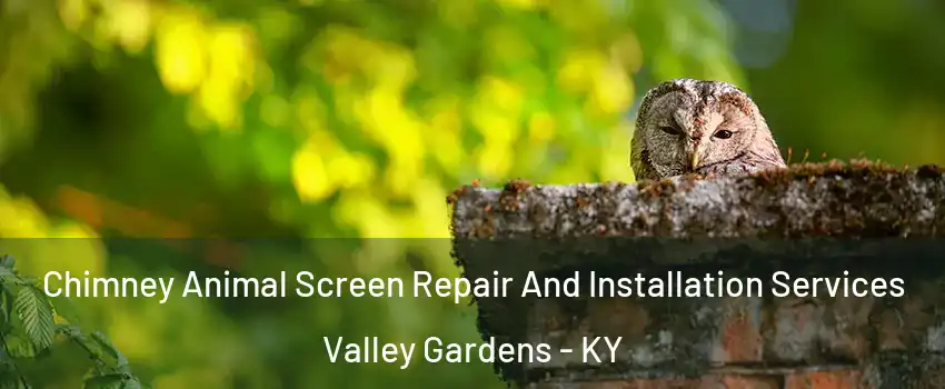 Chimney Animal Screen Repair And Installation Services Valley Gardens - KY