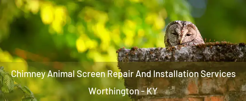 Chimney Animal Screen Repair And Installation Services Worthington - KY