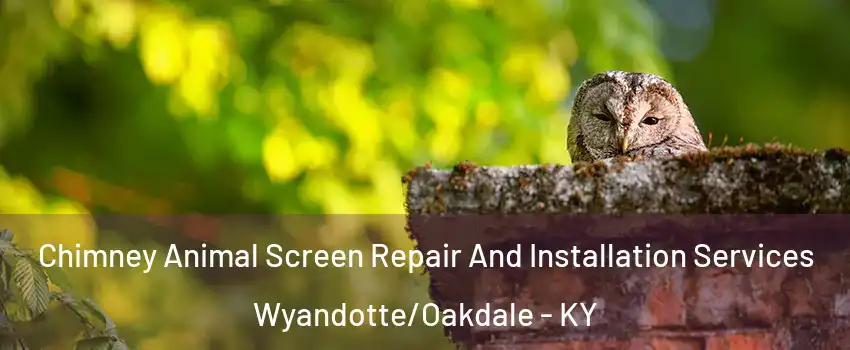 Chimney Animal Screen Repair And Installation Services Wyandotte/Oakdale - KY
