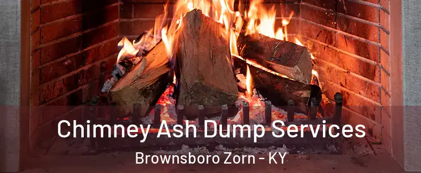 Chimney Ash Dump Services Brownsboro Zorn - KY