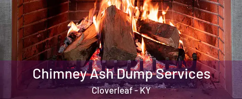 Chimney Ash Dump Services Cloverleaf - KY
