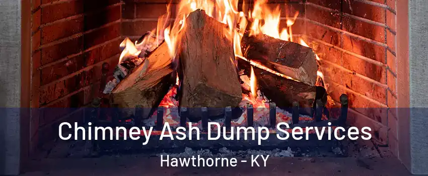 Chimney Ash Dump Services Hawthorne - KY