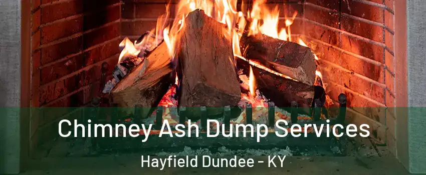 Chimney Ash Dump Services Hayfield Dundee - KY
