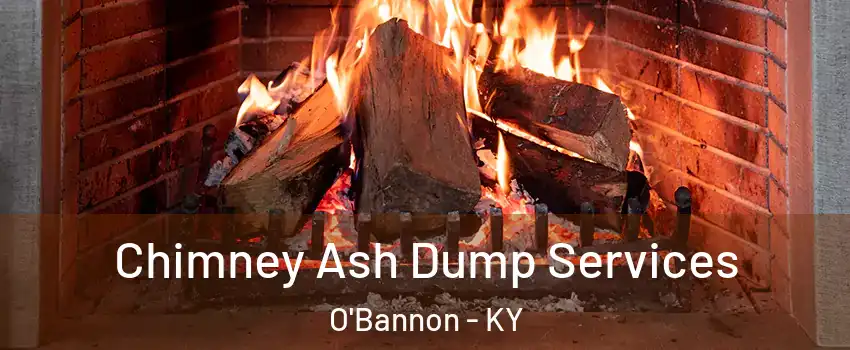 Chimney Ash Dump Services O'Bannon - KY
