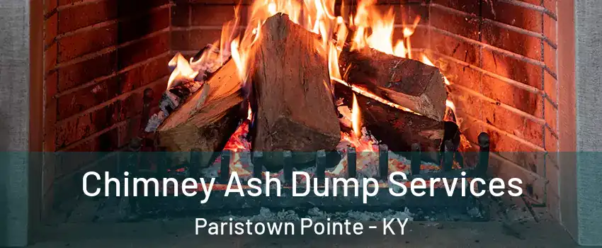 Chimney Ash Dump Services Paristown Pointe - KY