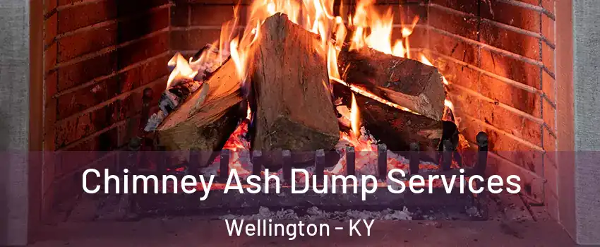 Chimney Ash Dump Services Wellington - KY