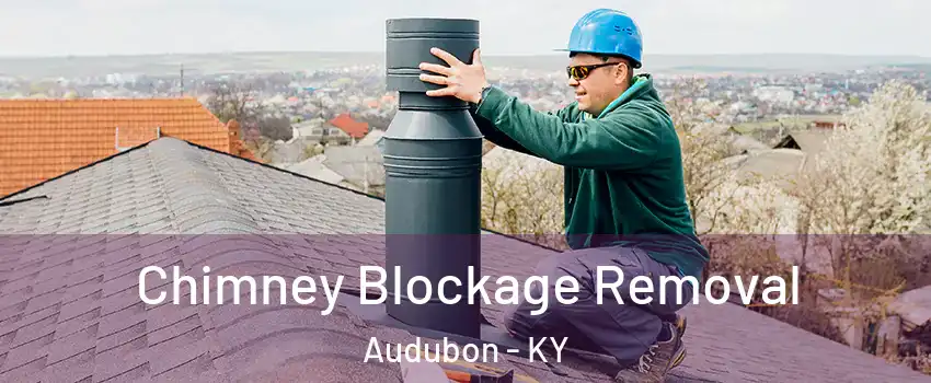 Chimney Blockage Removal Audubon - KY