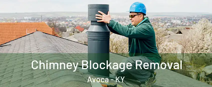 Chimney Blockage Removal Avoca - KY