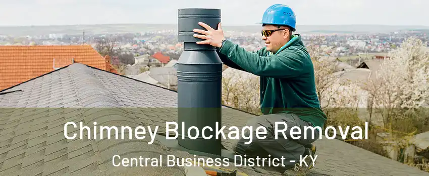 Chimney Blockage Removal Central Business District - KY