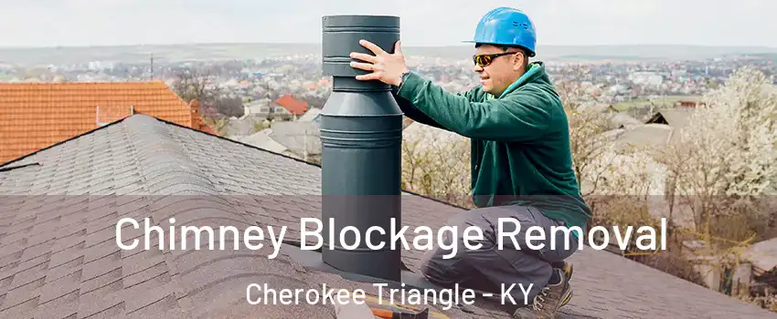 Chimney Blockage Removal Cherokee Triangle - KY