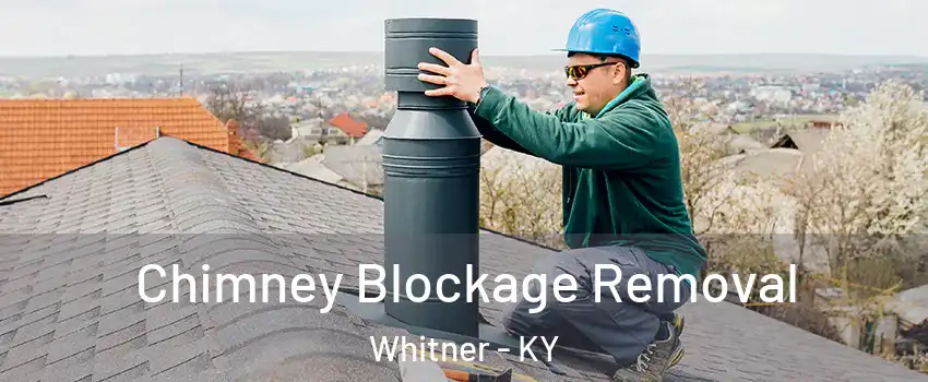 Chimney Blockage Removal Whitner - KY